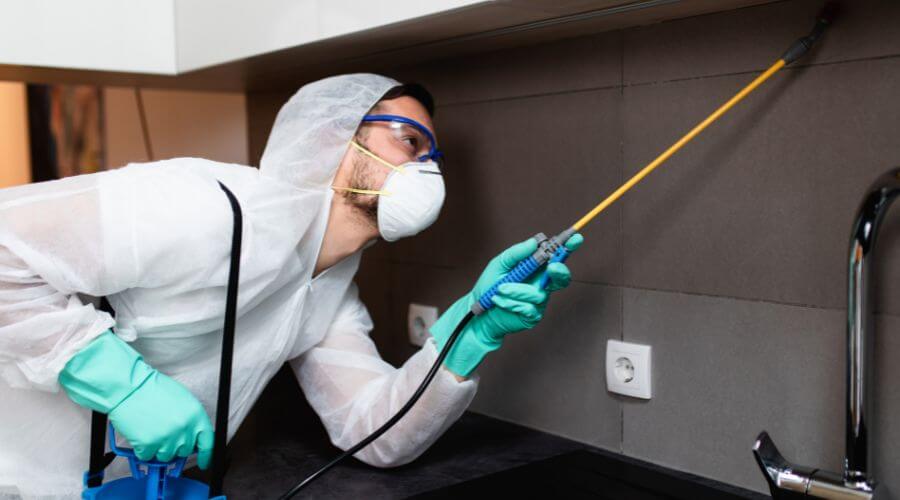 Why choose Waukesha Rodent Pros for rodent control in waukesha, Wi